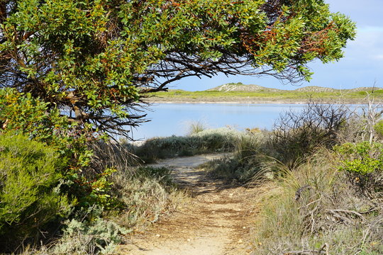 View of Lake Thetis in Nambung National Park, a saline coastal lake with stromatolites in Cervantes, Western Australia
