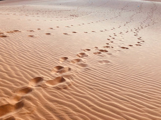Nice texture on white sand druin at muine at vietnam.
