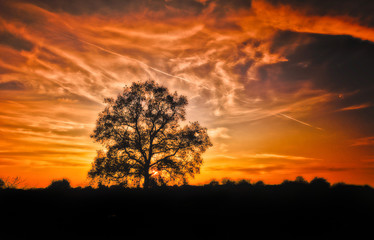 Fototapeta na wymiar Silhouette sunset