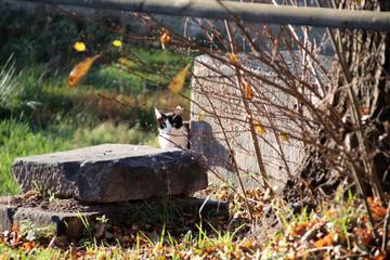 Wasserschloss Oberau Architektur und Natur bei Meißen