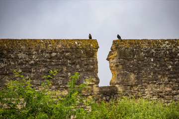 Birds sitting on either side of breach in ancient wall on overcast day - Wall that originally surrounded Oxford England
