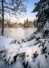Scenic snow landscape with frozen lake and beautiful snowy tree at mood winter morning in Finland