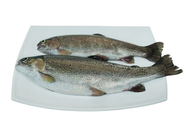 Two raw rainbow trout fish