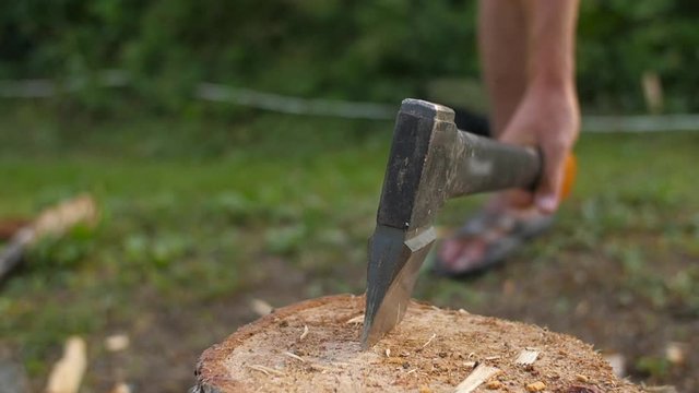axe in tree stump