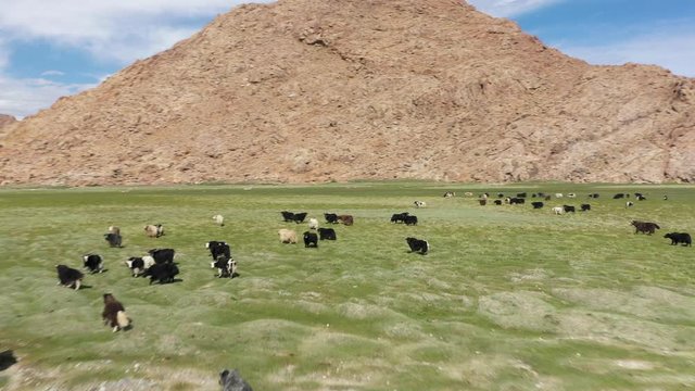 SarlagBilder StockFotos & Videos. Adobe Stock