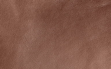 Leather. Brown. Gradient. The structure of the skin material close-up.