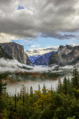 Foggy Tunnel View