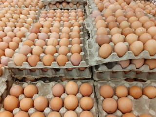 Healthy and Organic Natural Chicken Eggs with Stacked Firm Packaging in Supermarket   
