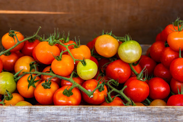 A close up view of organic tomatoes sold on the vine in a wooden crate on a market stall during a street fair