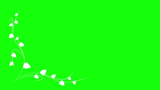 Animation of a white plant ornament on a green background	