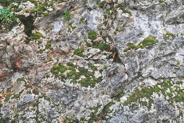 background of old mossy stones and rocks