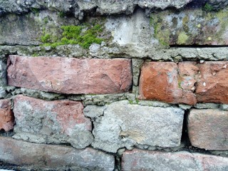 Brick wall. Ceramic masonry or fence. Old, uneven brick, covered in some places with moss and mold....