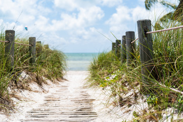 beach and sea