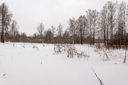 Panorama meadows with snow passes on the edge of the forest. The February weather there is very snowy. Raek Village, Tver Oblast, Russia. © 1802185