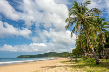 Fototapeta na wymiar Nacpan sandy beach in El Nido Philippines - tropical beach with coconut trees