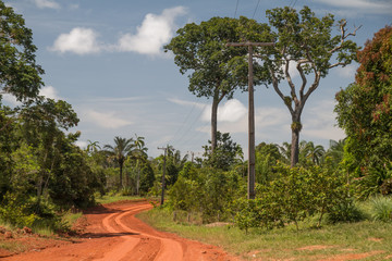 Obraz premium Mud road through the jungle, Amazon region, Brazil, South America