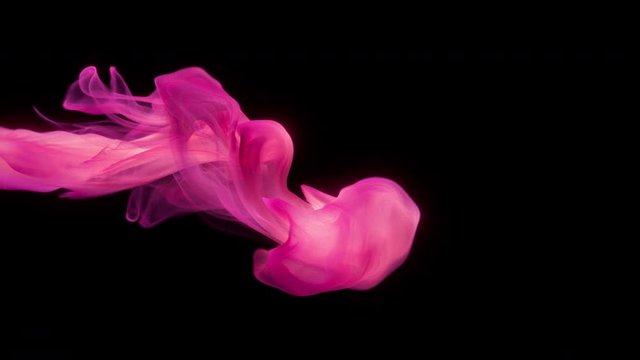 Pink magenta color paint ink drops in water slow motion art background with copy space. Inky cloud swirling flowing underwater. Abstract smoke fluid  liquid animation isolated on black alpha channel