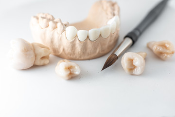 Close-up on plaster model of artificial jaw with teeth and paintbrush on the white background....