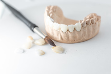 Fototapeta na wymiar Close-up on plaster model of artificial jaw with teeth and paintbrush on the white background. Concept of art in aesthetic dentistry