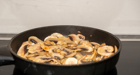 Pilze kochen - Pilzgericht