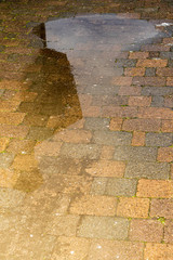 Riflessi nell'acqua