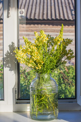 A bouquet of yellow wildflowers Snapdragon in a glass jar stands on a white windowsill in a farmhouse.