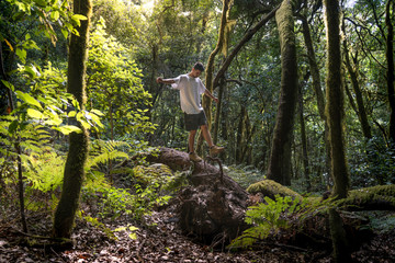 hombre joven ba&ntilde;ado en luz medita entre los arboles en el parque nacional de Garajonay