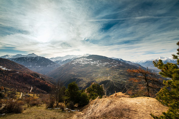 A cheerful young labrodor dog running on the rock.Valais Alps, Switzerland