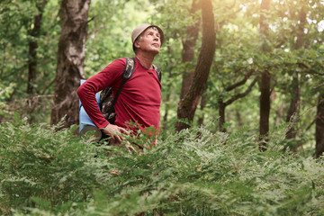 Outdoor shot of senior traveler walking in forest, wearing casual clothes, carries backpack with rug, standing with hands on hips and looking up on sky, relaxing in open air, enjoying fresh air.