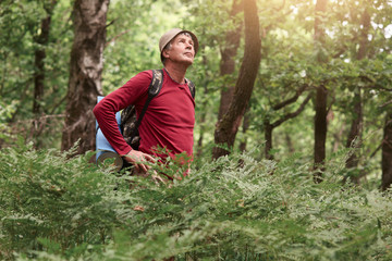 Outdoor shot of senior traveler walking in forest, wearing casual clothes, carries backpack with...
