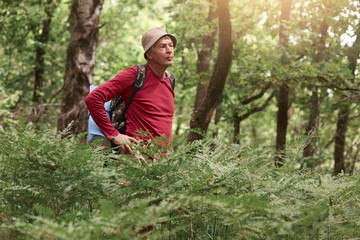 Naklejka na ściany i meble Front view of Caucasian man travel with backpack, senior male dresses hat and red shirt standing in forest among trees with hands on hips, spends summer day in active way. Travel adventure concept.