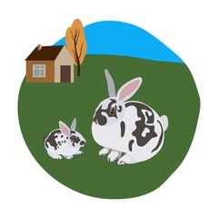 Rabbit with rabbit on white background vector pets