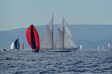 Fototapeta premium Les voiles 2018