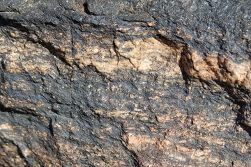 Far in the future, Southern Mojave Desert plants near Lost Horse Mine of Joshua Tree National Park, will feed on nutrients of these rocks, once broken down into soil.
