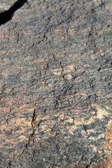 Far in the future, Southern Mojave Desert plants near Lost Horse Mine of Joshua Tree National Park, will feed on nutrients of these rocks, once broken down into soil.