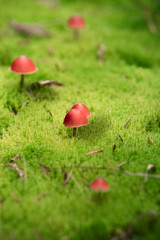 Wonderful Hiking day on a trial to the top of the mountain