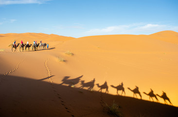 Fototapeta na wymiar Dromadero ride in Sahara desert