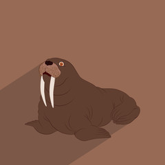 Walrus. The walrus is a marine mammal. Big Walrus vector web icon isolated on white background, EPS 10, top view