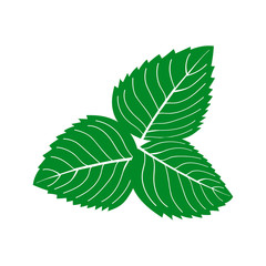mint icon isolated on white background flat