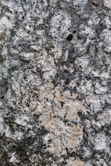 Old Weathered Natural Stone Texture Close Up
