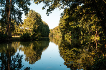 Magnifique réflexion de la nature sur un fleuve