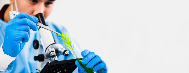 Scientist working working with plant biology research in laboratory.