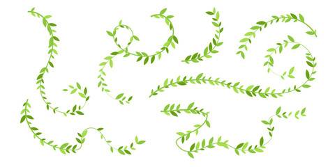 Hanging plants with green leaves. Simplistic foliage ornate design elements. Set of isolated vector decorations. - obrazy, fototapety, plakaty