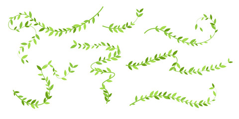 Hanging plants with green leaves. Simplistic foliage ornate design elements. Set of isolated vector decorations.