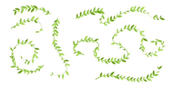 Hanging plants with green leaves. Simplistic foliage ornate design elements. Set of isolated vector decorations.