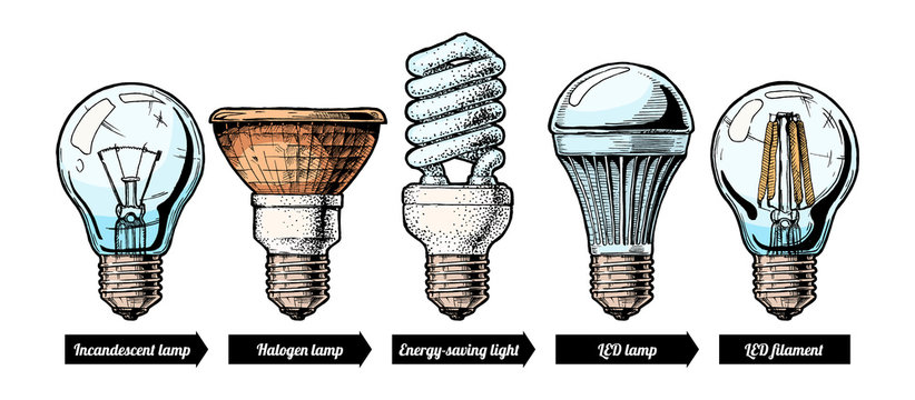 evolution set of light bulb