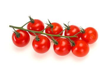 Ripe tomatoes on the branch