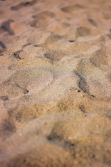Closeup texture of beach sand as background