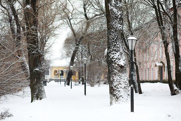 Winter landscape of country fields and roads