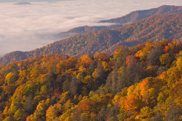 Autumn, Great Smoky Mountains National Park, North Carolina, USA